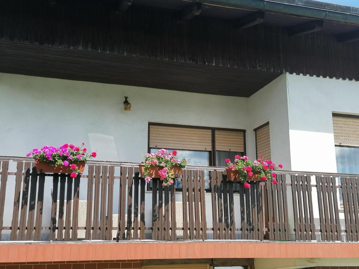 Apartments Novak Ljubno Exterior photo